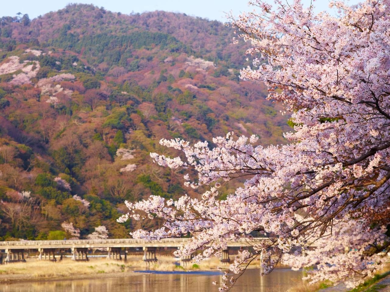 L'Hotel De Hiei Kyoto Ngoại thất bức ảnh